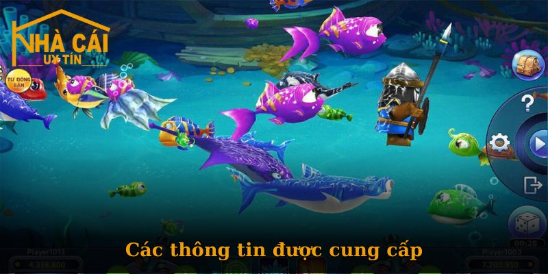 Các thông tin được cung cấp tại chuyên mục Bắn Cá