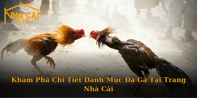 Đá Gà