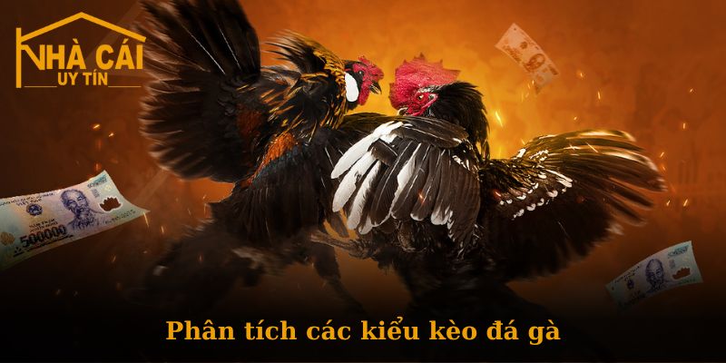 Tổng quan về Đá Gà tại trang nhà cái