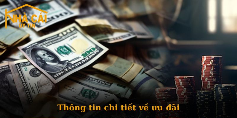 Giới thiệu về danh mục Khuyến mãi