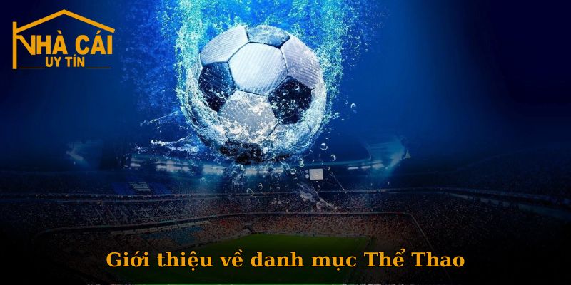 Giới thiệu về danh mục Thể Thao