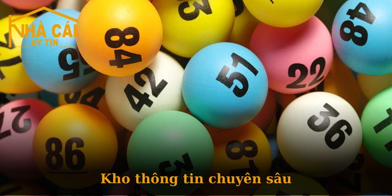 Những thông tin được cung cấp dựa trên căn cứ nào?